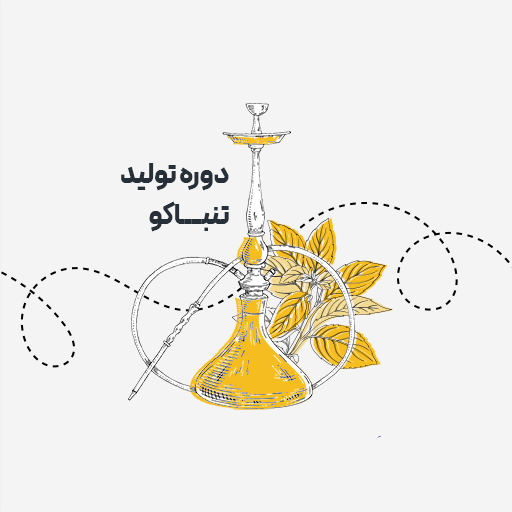 تولید تنباکو